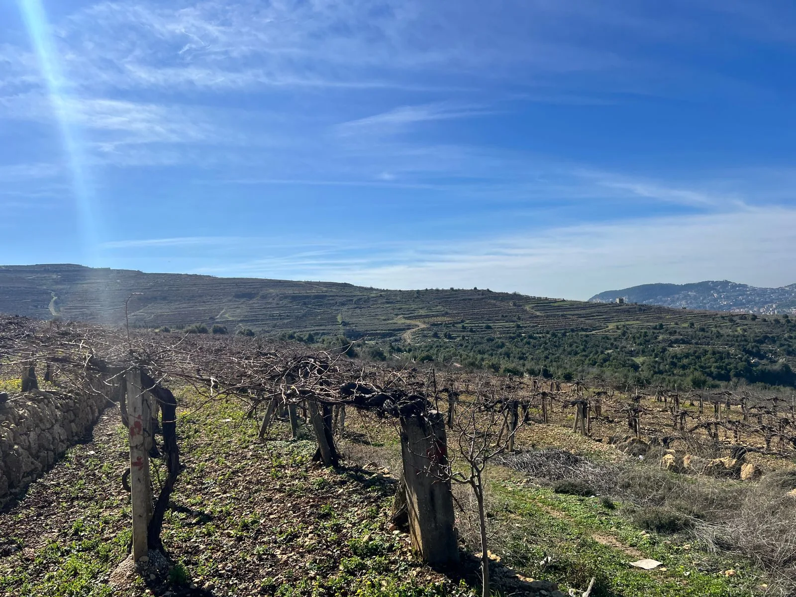 Land for Sale in Bhamdoun, Lebanon — الصورة 4