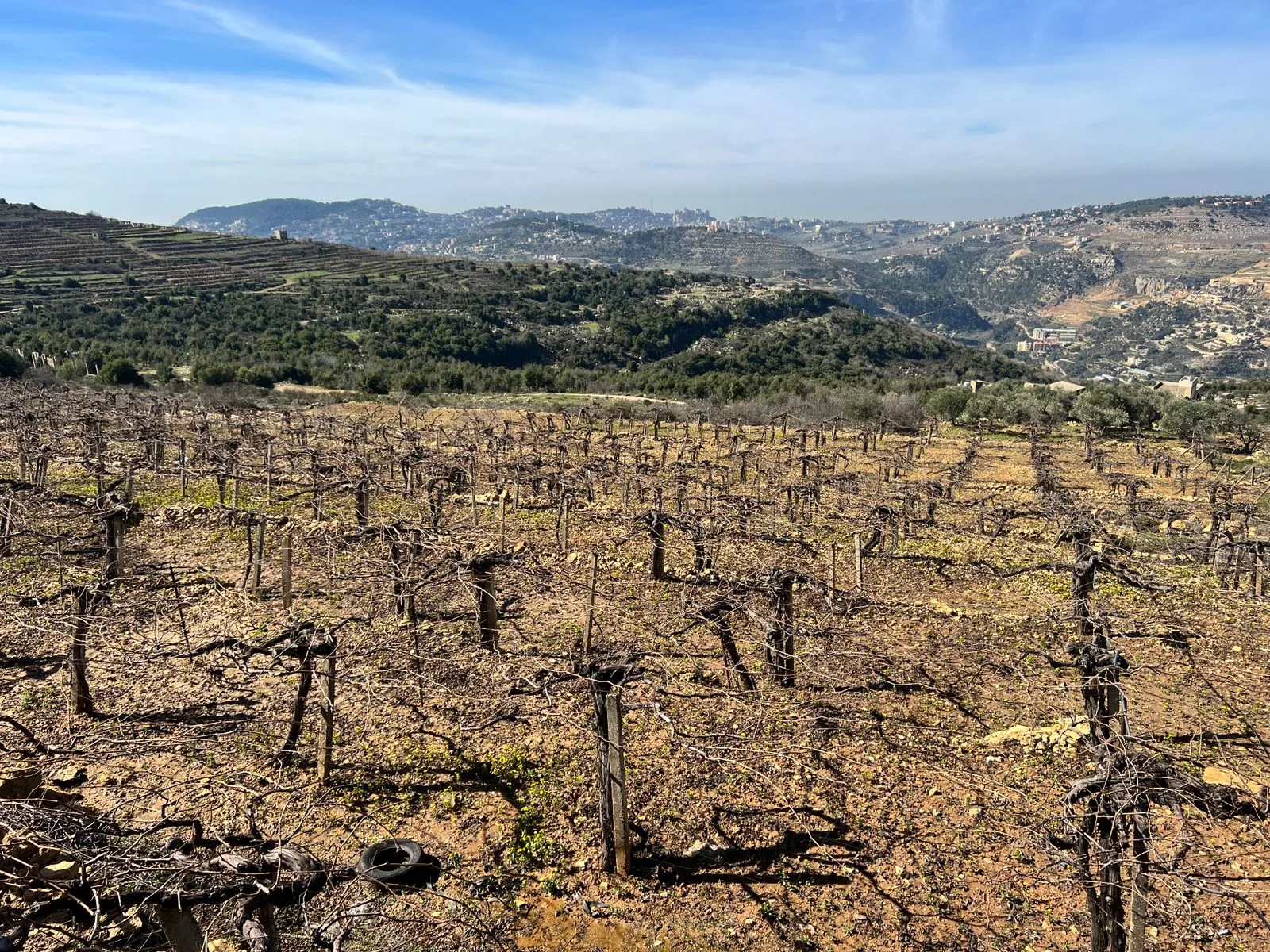 Land for Sale in Bhamdoun, Lebanon — الصورة 2