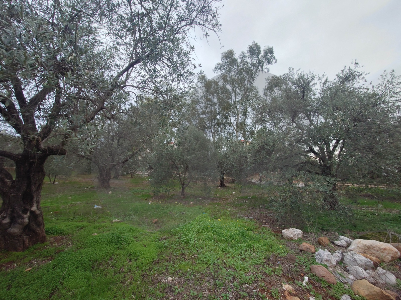 PrimeLand for Sale in Besebhel – Zgharta — الصورة 3