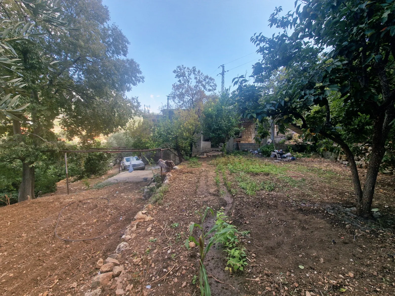 Villa for Sale in Batroun, Lebanon — الصورة 6