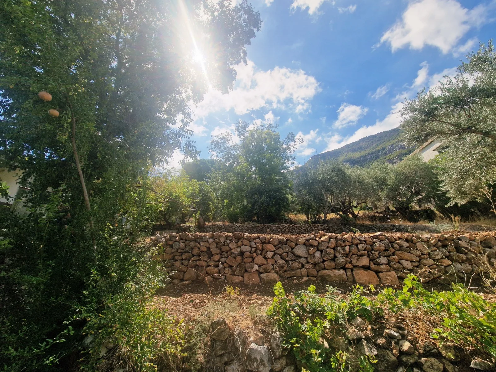 Villa for Sale in Batroun, Lebanon — الصورة 4
