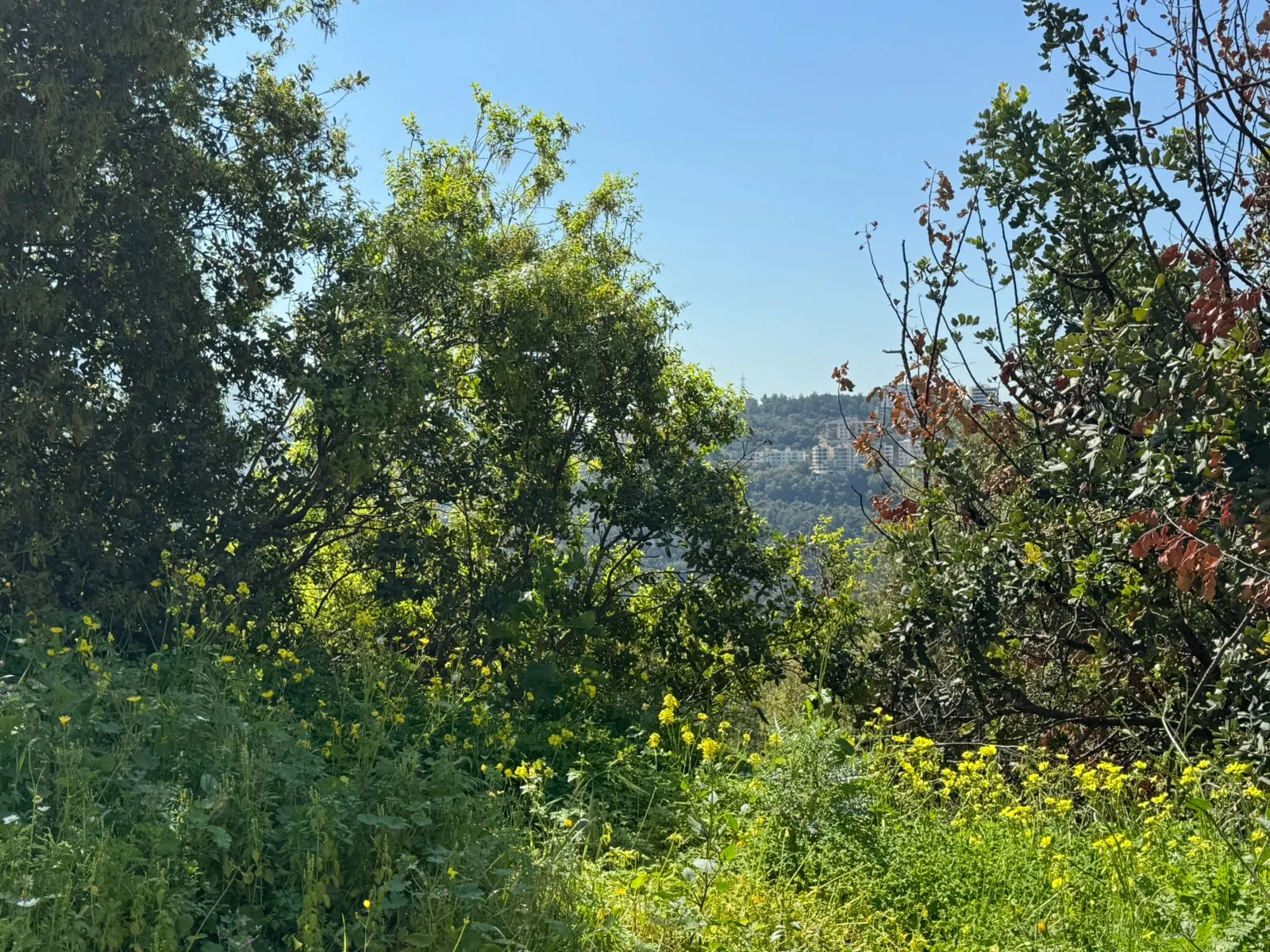 Residential Land for sale in Mansourieh, Lebanon — photo 2