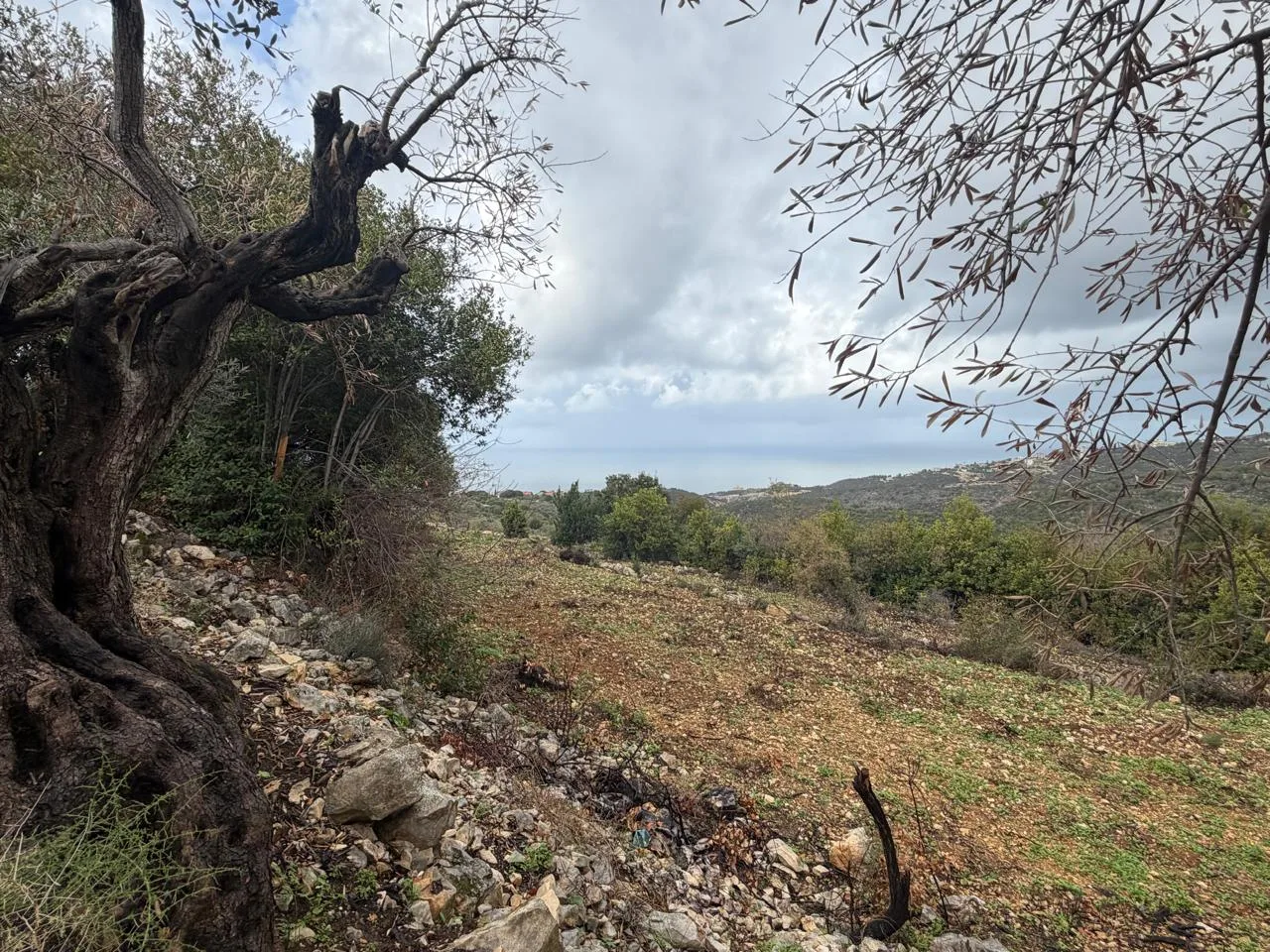 Residential Land for sale in Monsef, Lebanon — الصورة 2