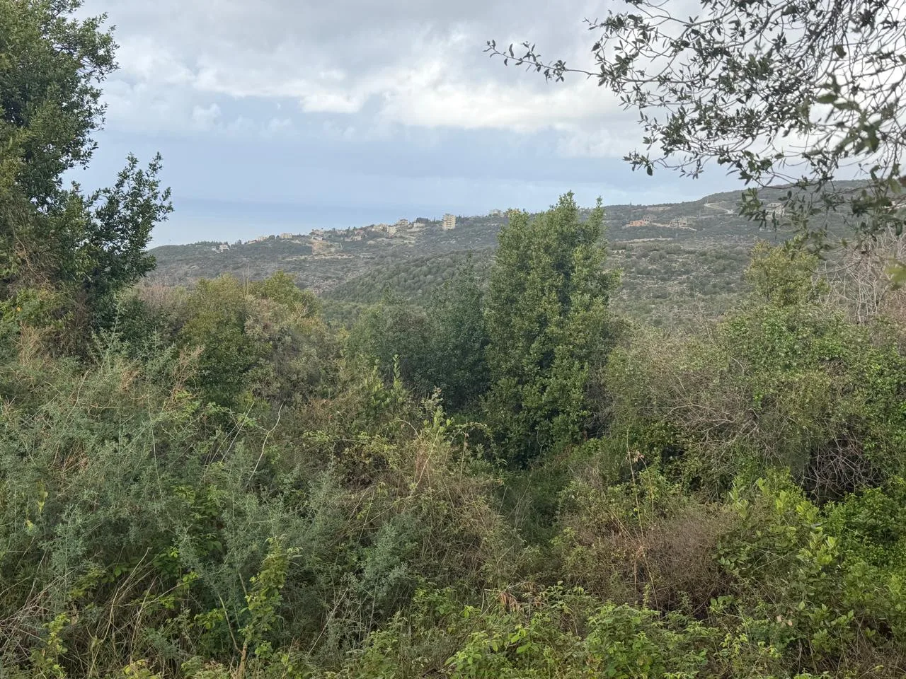 Residential Land for sale in Monsef, Lebanon