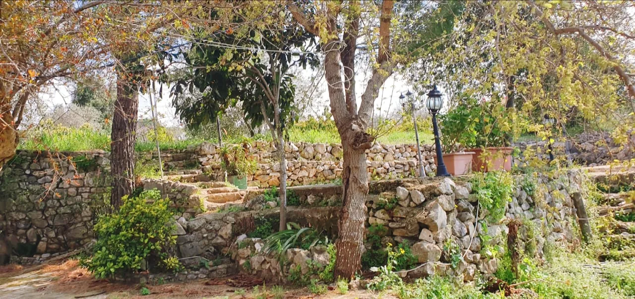 House for rent in Batroun, Lebanon — الصورة 3