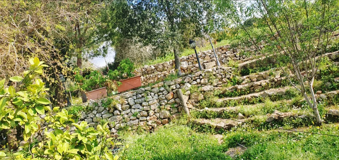 House for rent in Batroun, Lebanon — الصورة 5