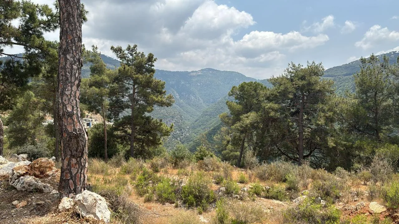 Land for Sale in Beit Meri