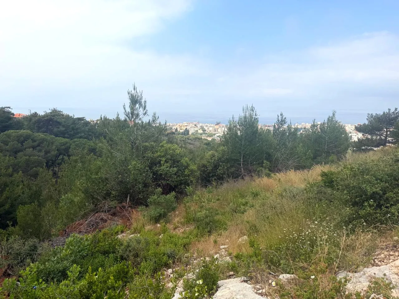 Land for Sale in Batroun — الصورة 1