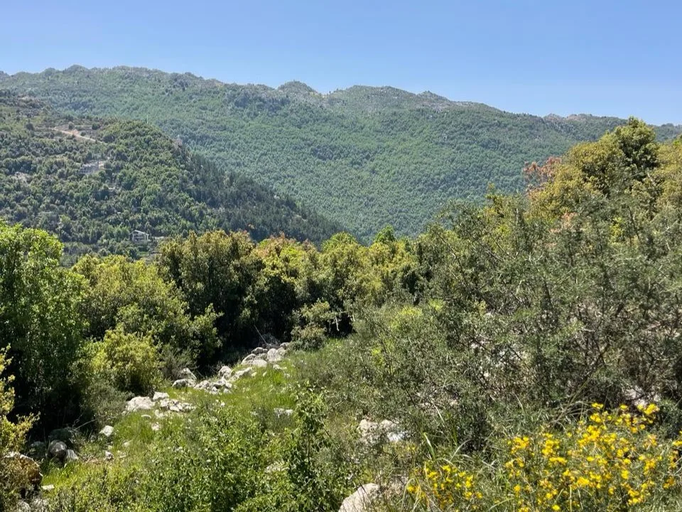 Land for Sale in Chahtoul — الصورة 2