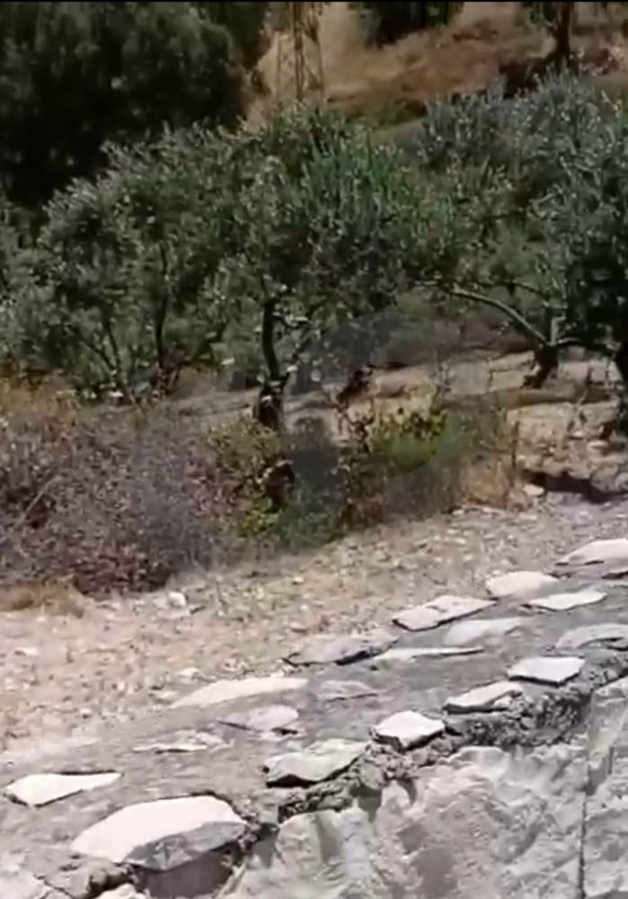 PRIME LOCATION, LAND FOR SALE, BATROUN — photo 2