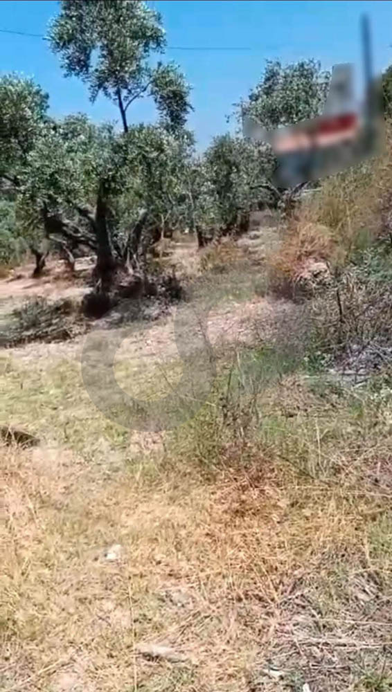 PRIME LOCATION, LAND FOR SALE, BATROUN — photo 3