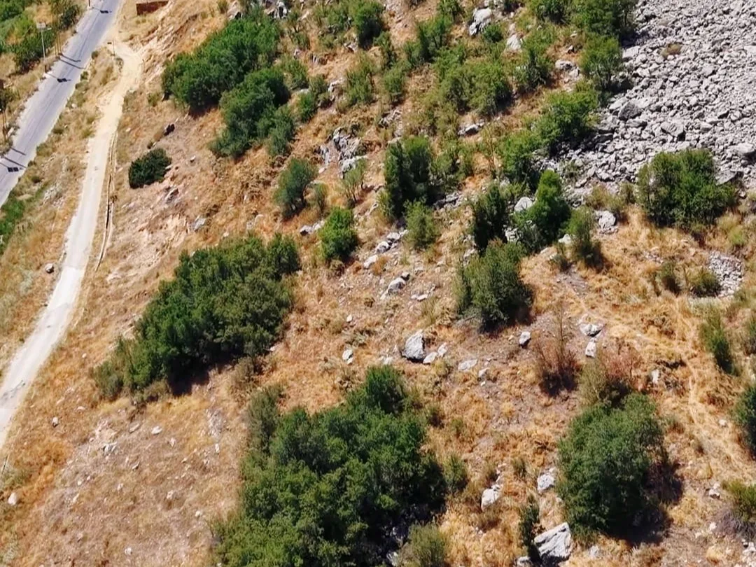 Land for Sale in Byblos — photo 3
