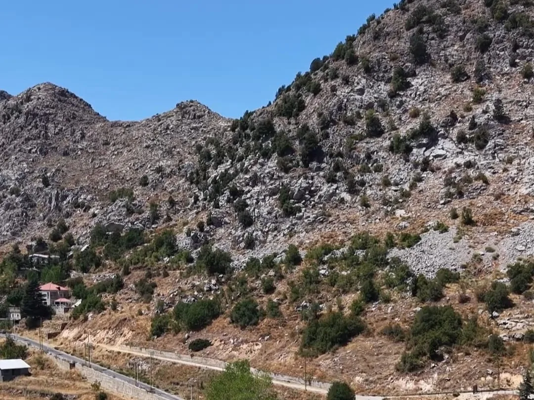 Land for Sale in Byblos — photo 2