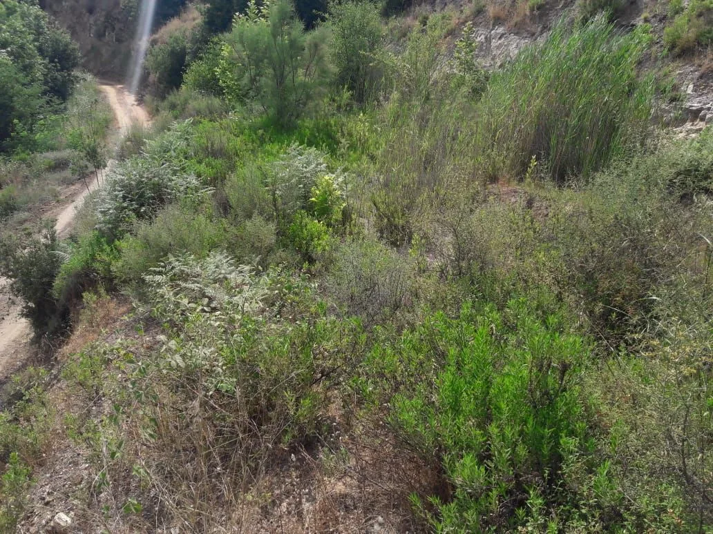 Land for Sale in Ras El Matn — الصورة 1