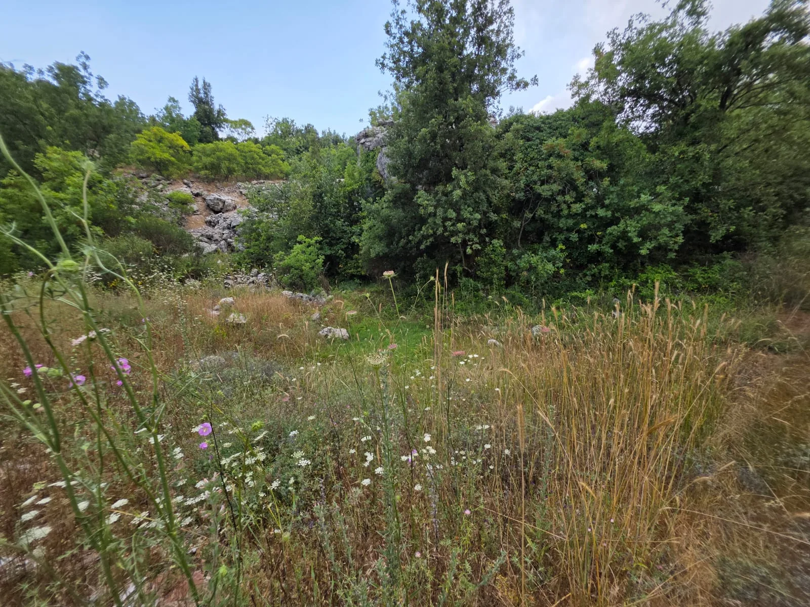 Land for Sale in Faitroun