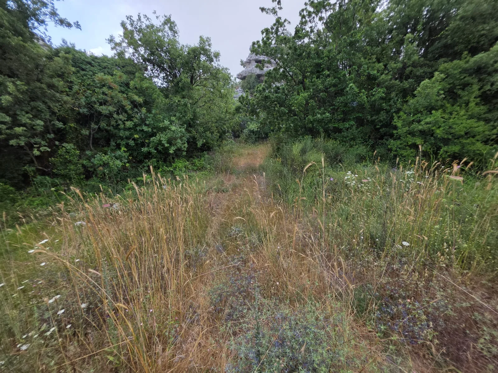 Land for Sale in Faitroun — الصورة 2