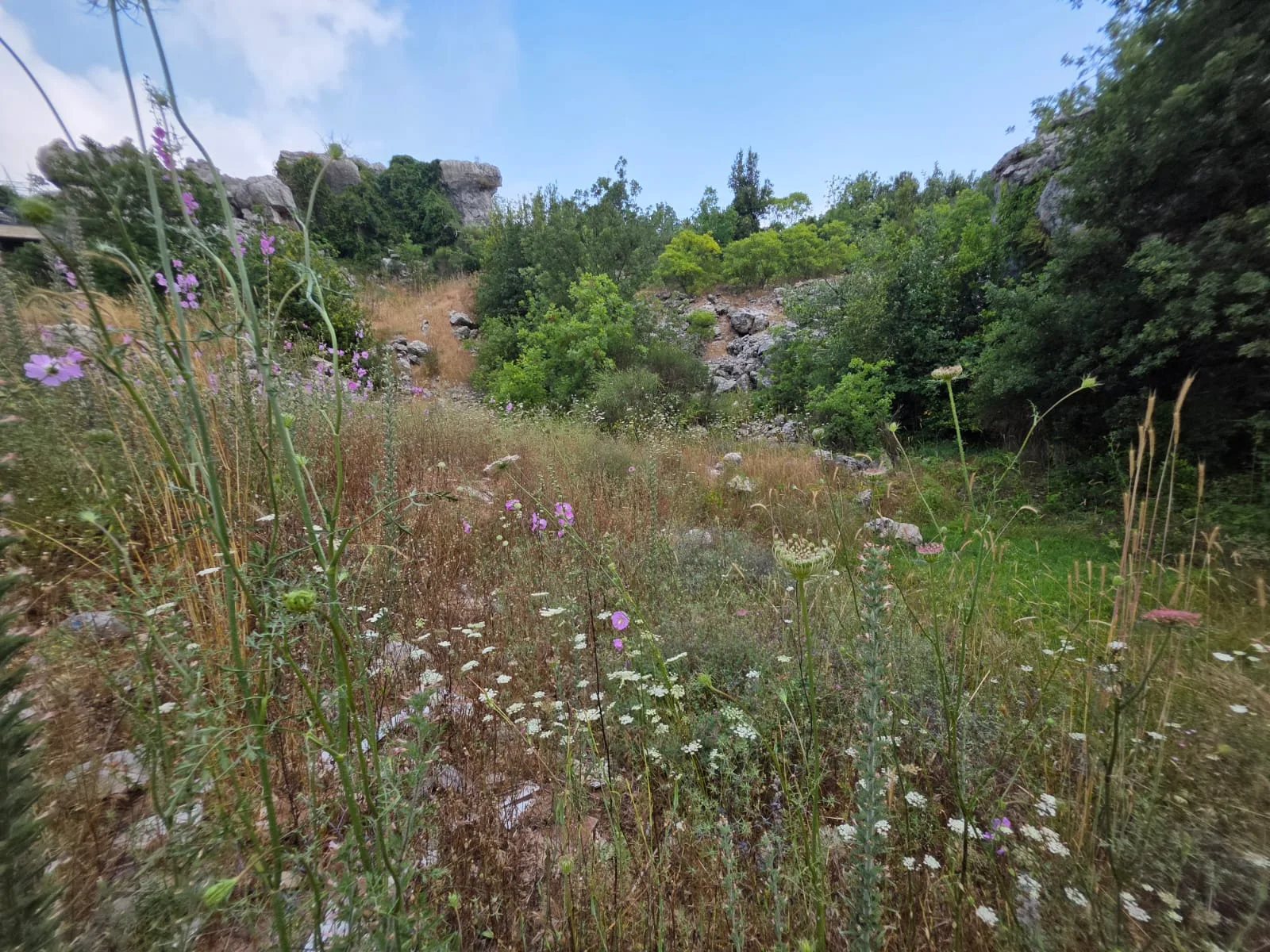 Land for Sale in Faitroun — الصورة 3