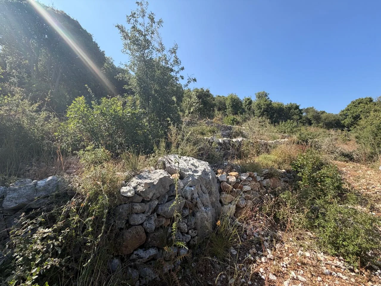 Land for Sale in Batroun — الصورة 3