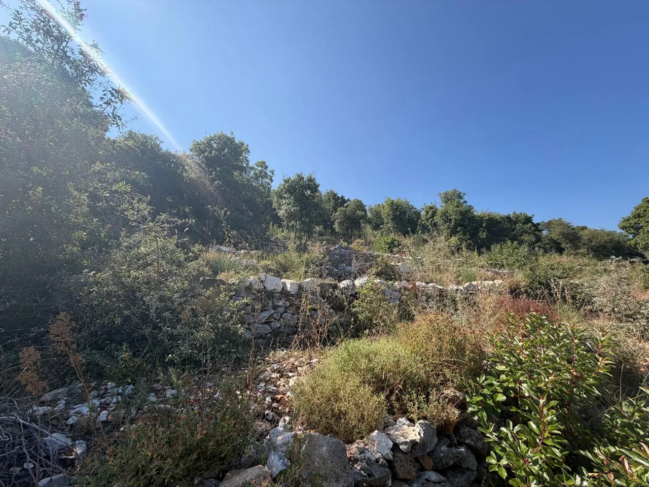 Land for Sale in Batroun — الصورة 6