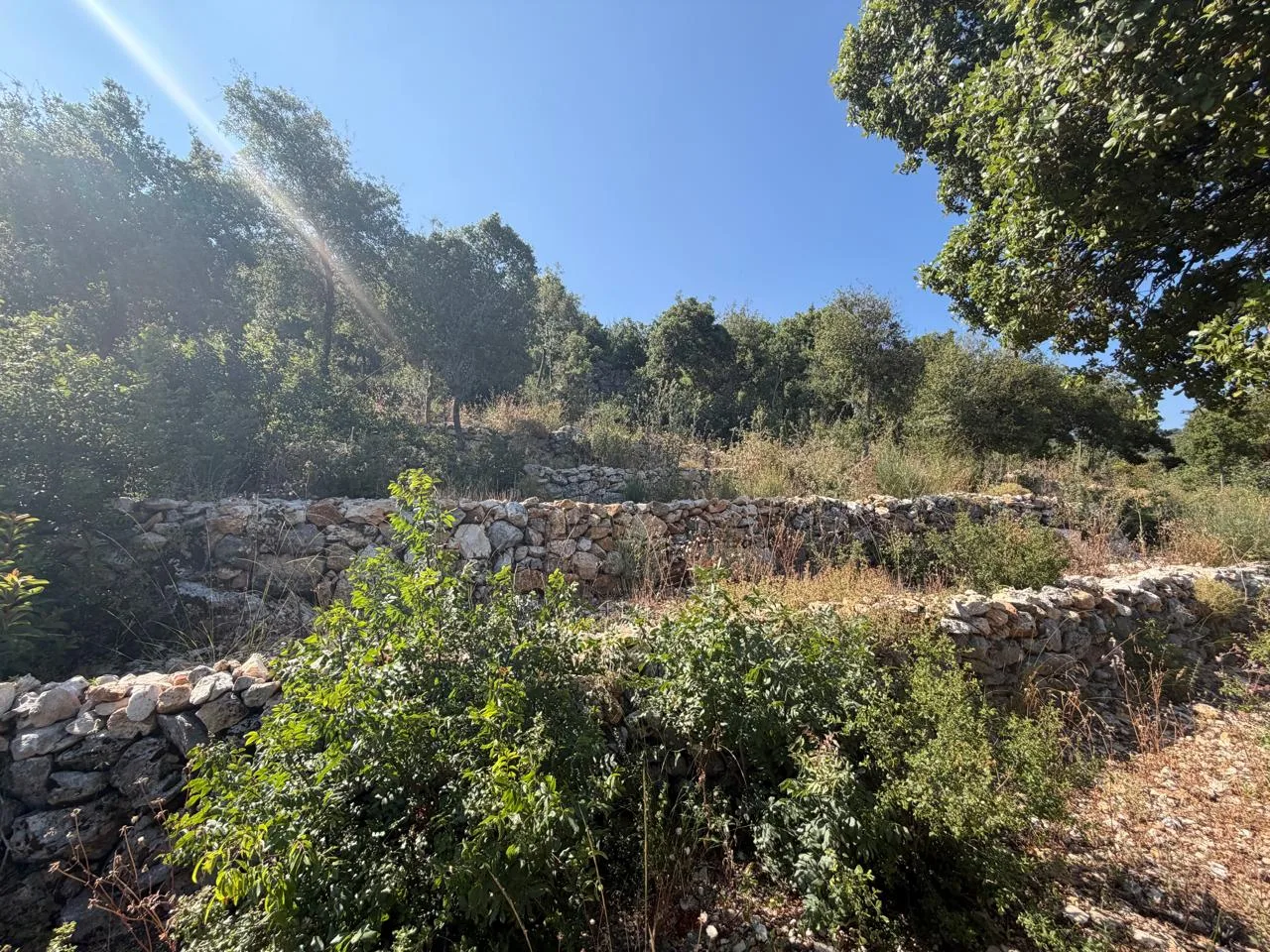 Land for Sale in Batroun — الصورة 4