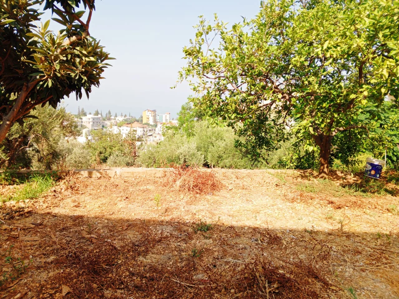 Villa for Sale in Byblos — الصورة 3