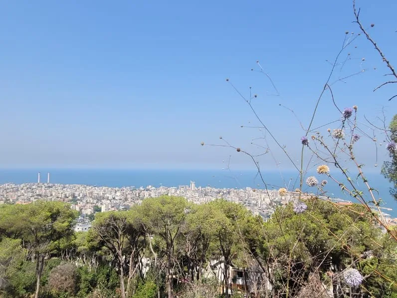 Land for Sale in Bkerki — الصورة 1