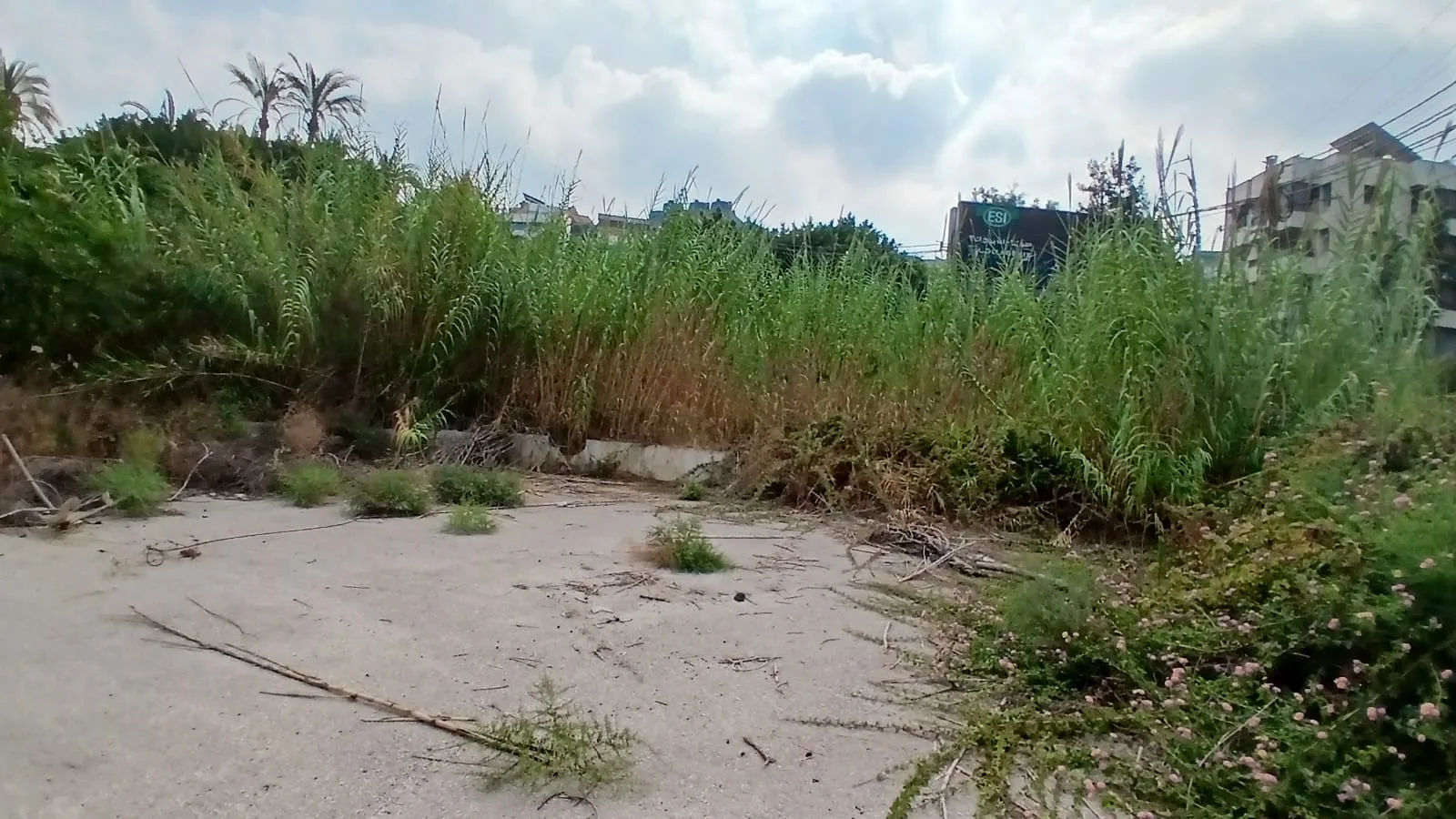 Land for Sale in Dekwaneh