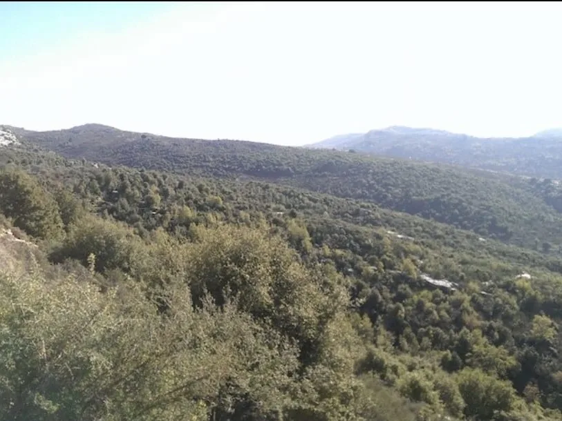 Land for Sale in Assia