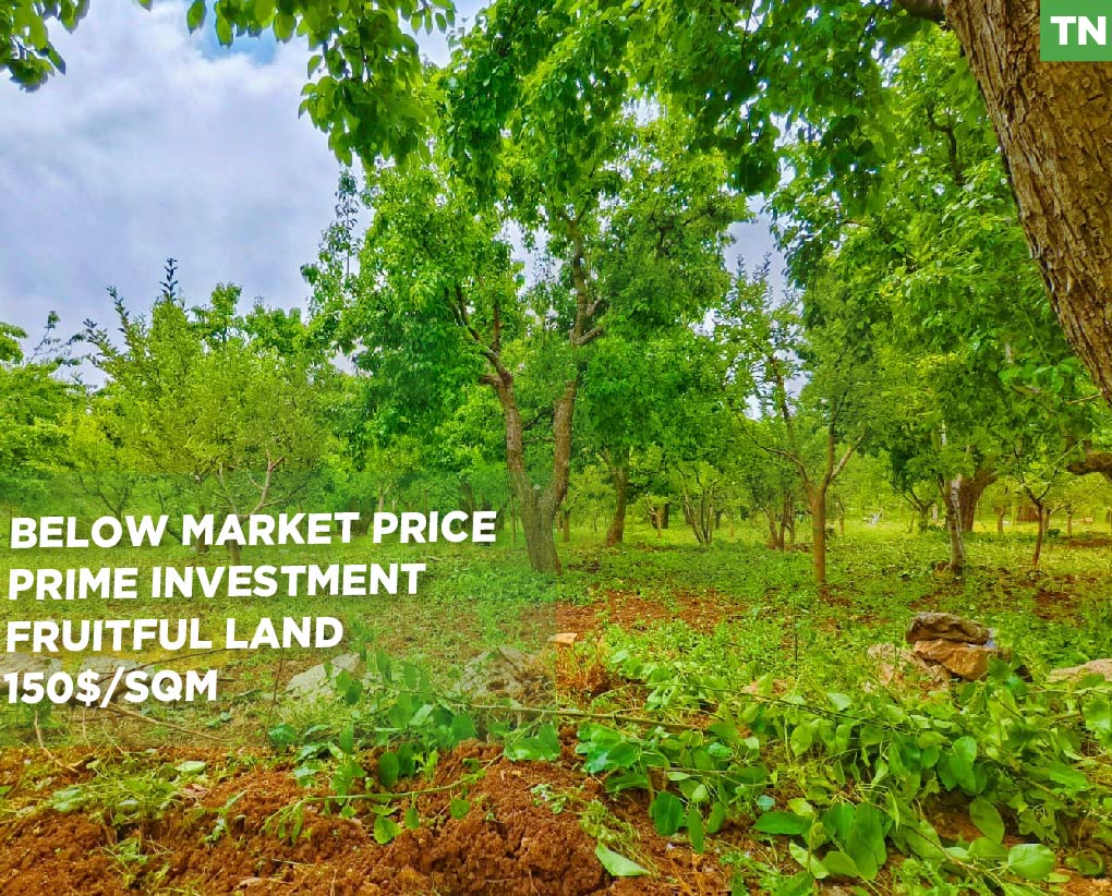5,700 SQM Prime Land in Boufa – Ehden | 20/40 Zoning | Below Market Price