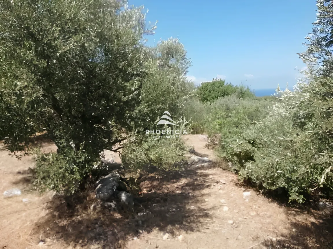 Land for Sale in Monsef — الصورة 18