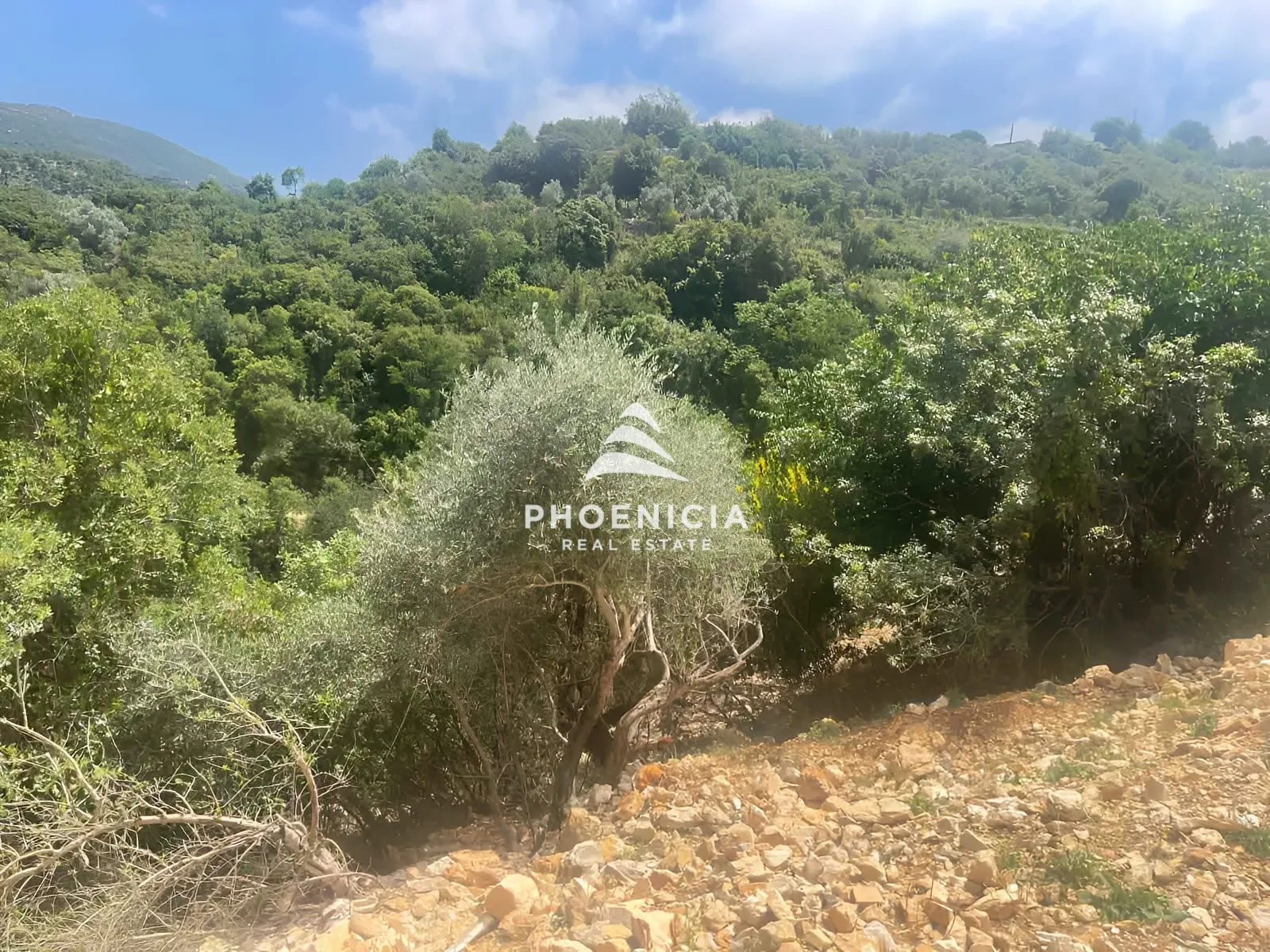 Residential Land for sale in Aabeidat, Jbeil, Lebanon — الصورة 4