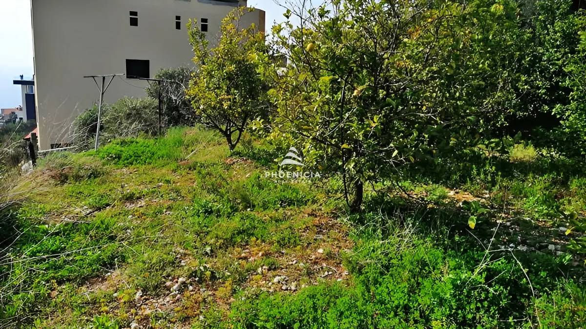 Land for Sale in Blat — الصورة 2