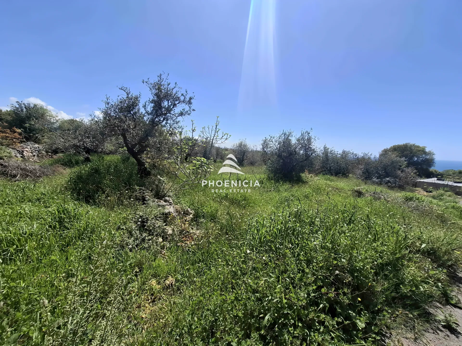 Land for Sale in Monsef — الصورة 2