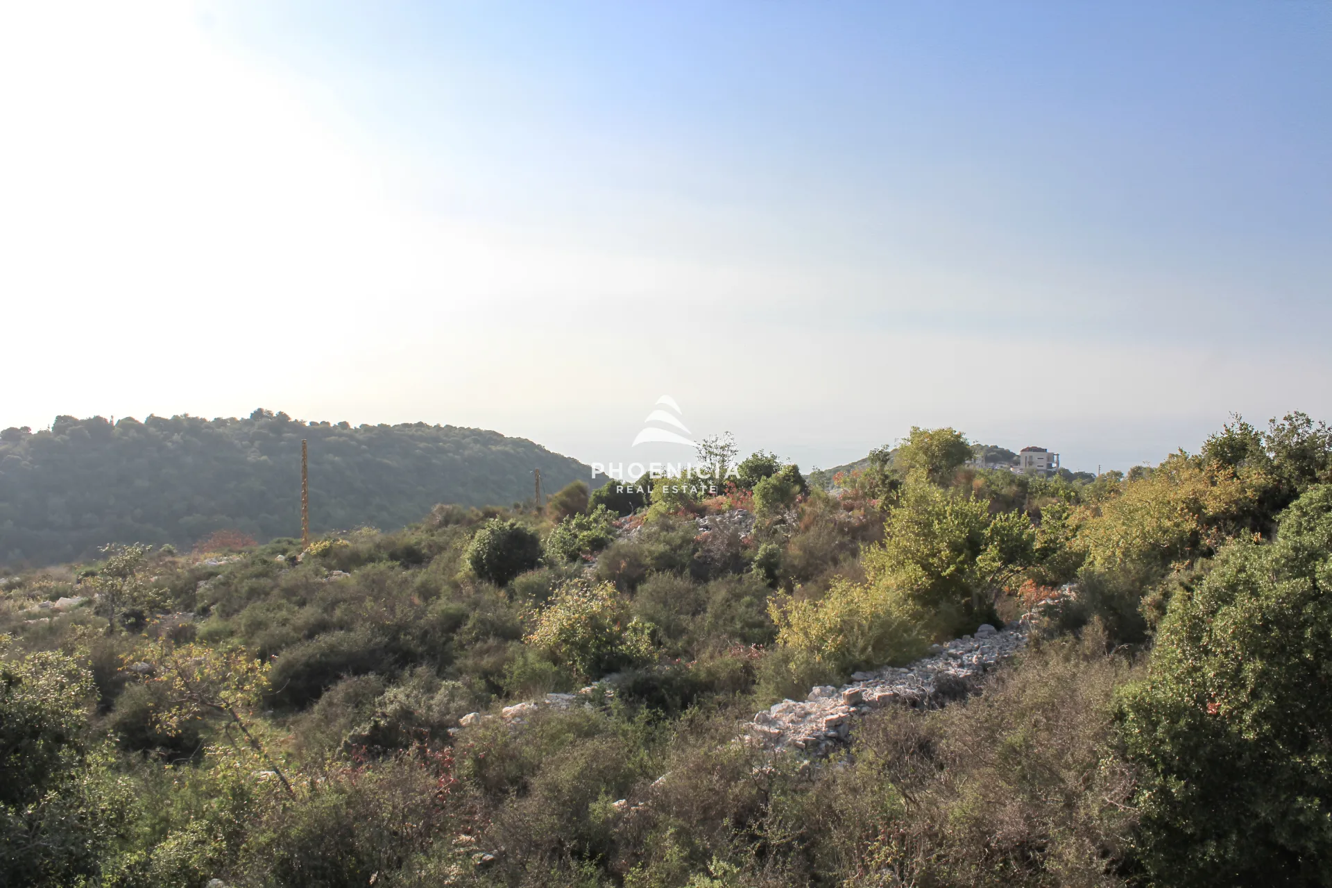 Land for Sale in Gharzouz — الصورة 4