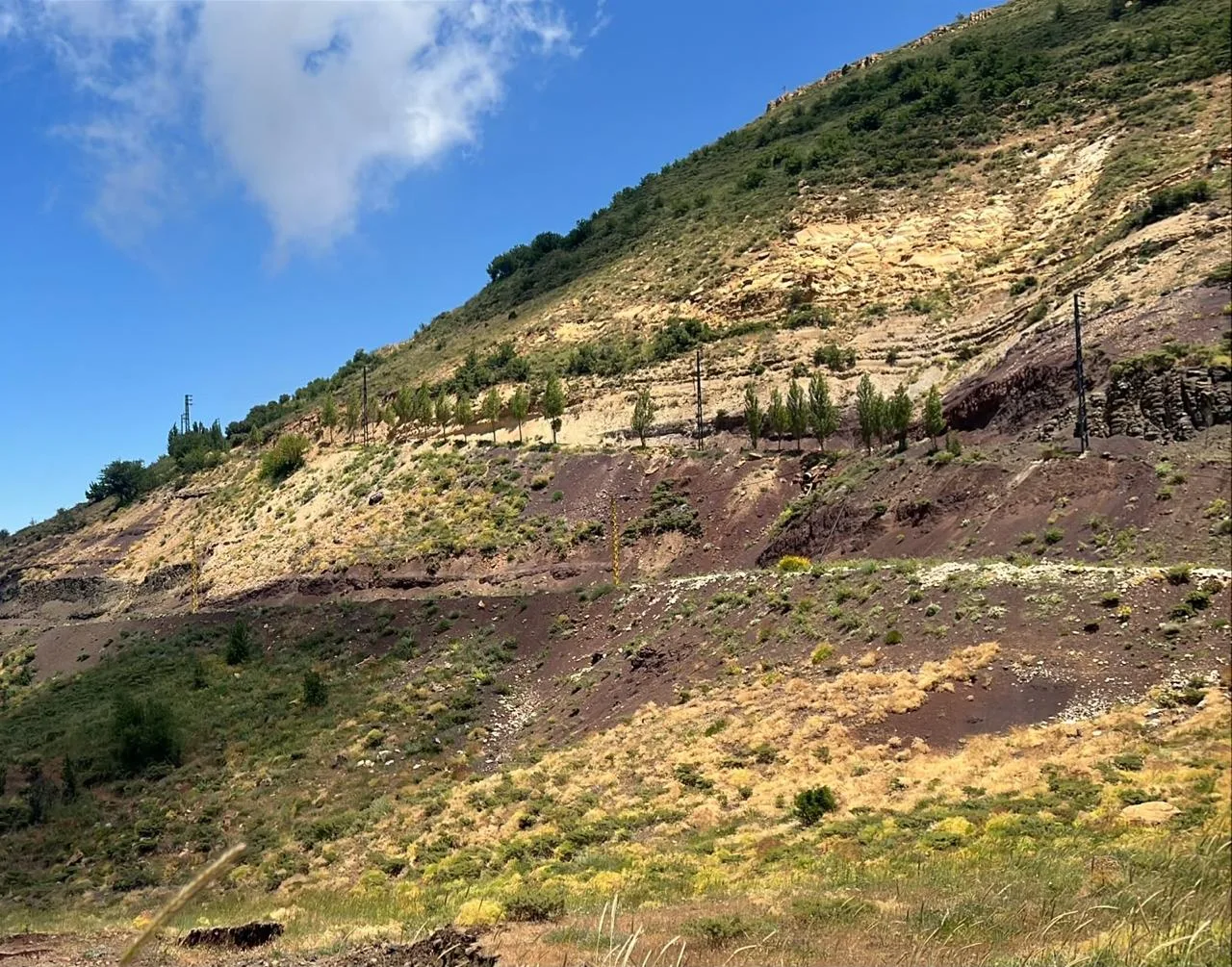 Land for Sale in Tannourine El Tahta — الصورة 2