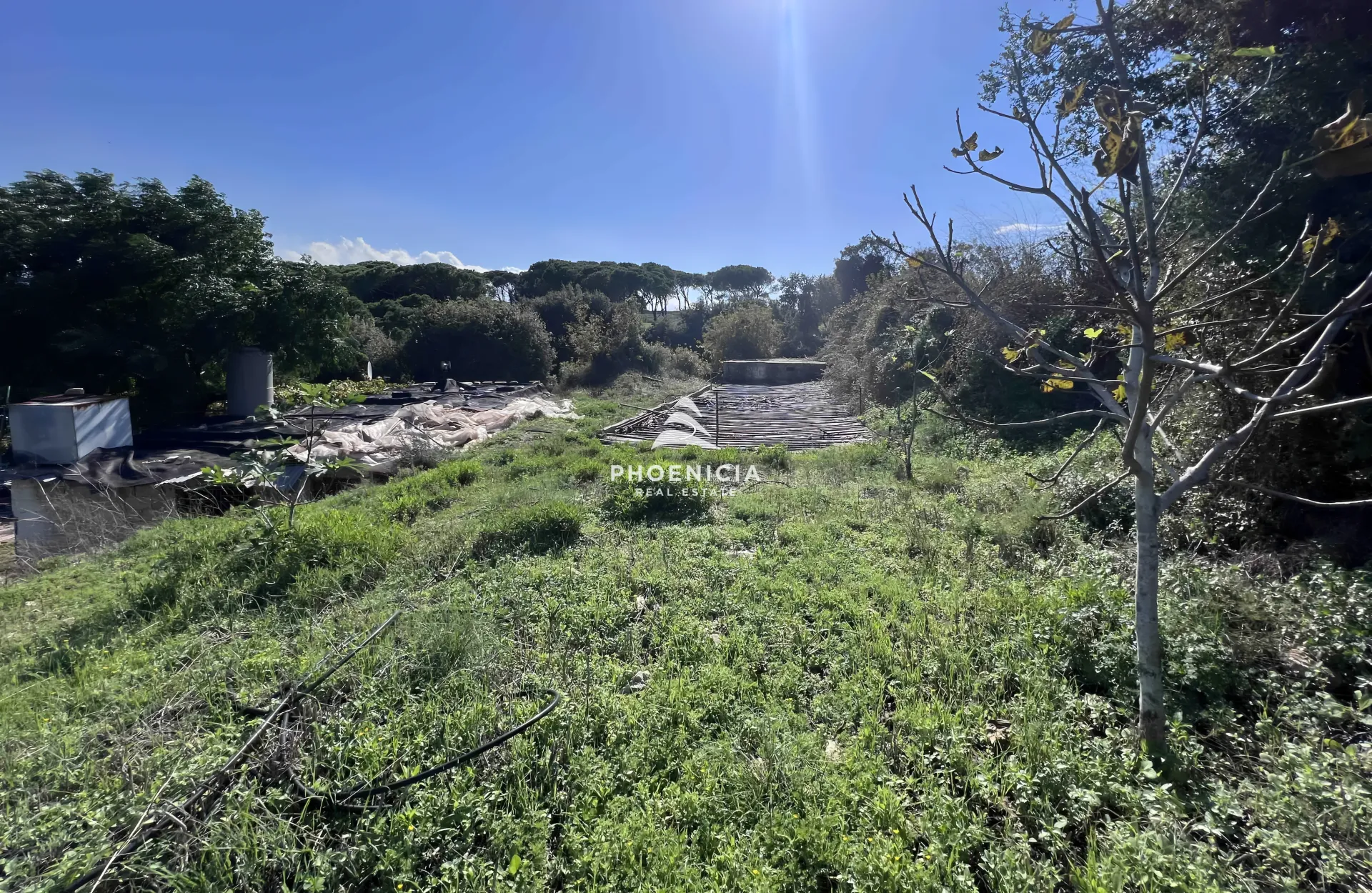 Land for Sale in Maad — الصورة 3