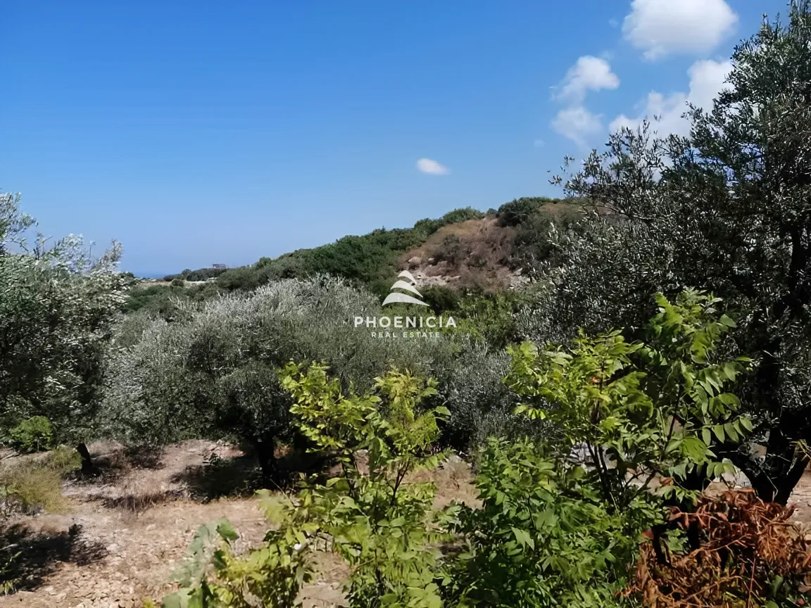 Land for Sale in Monsef — الصورة 13