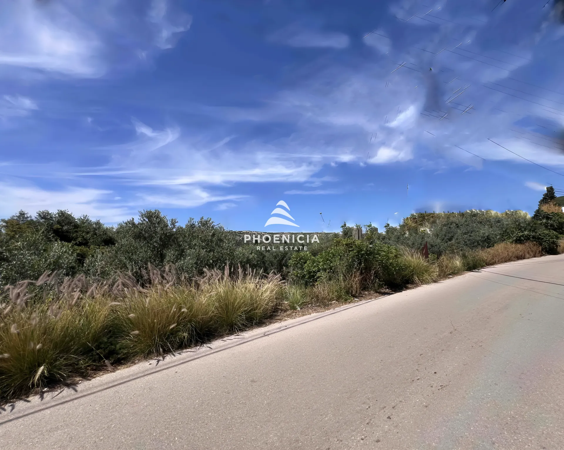 Land for Sale in Batroun — الصورة 10