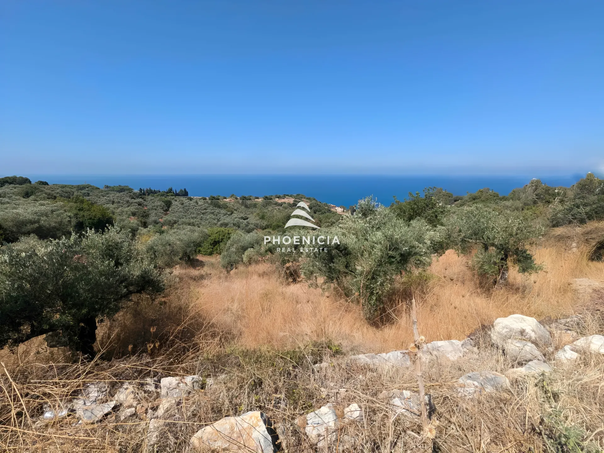 Land for Sale in Kfar Kedah, Lebanon — الصورة 5