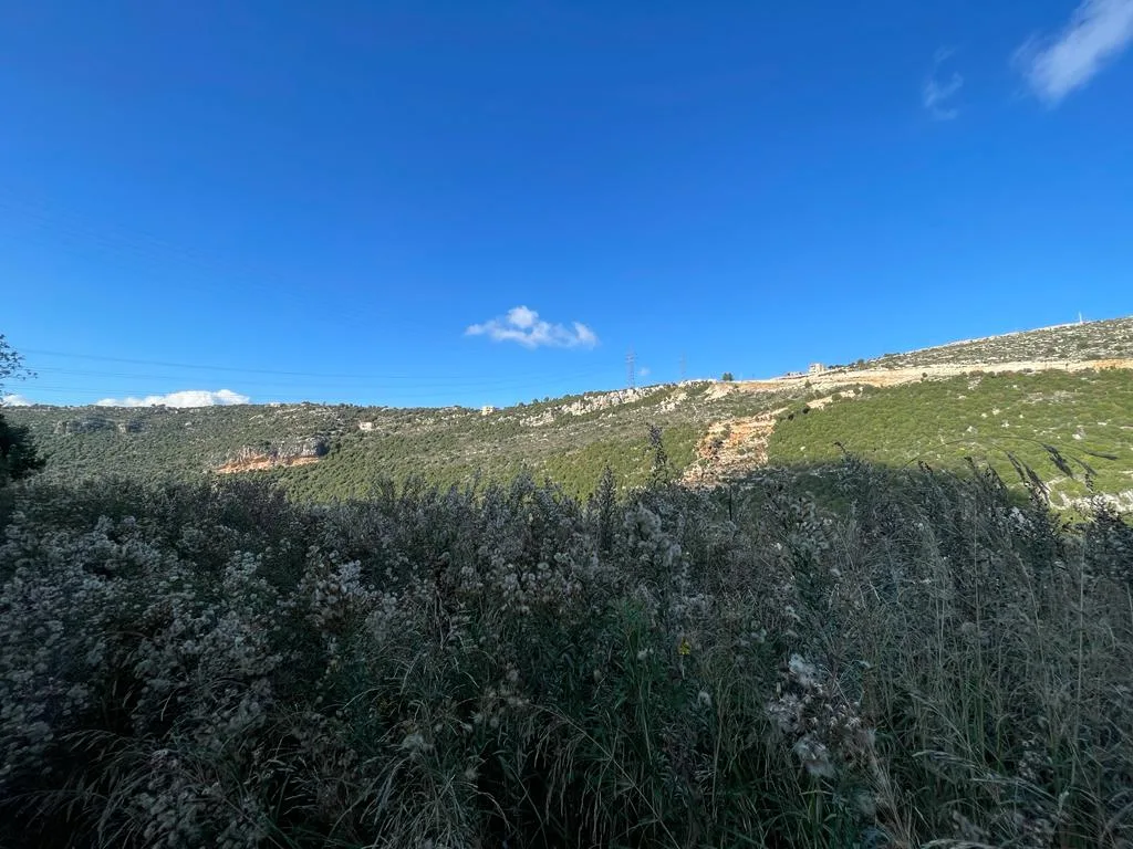 Land for Sale in Haqel, Lebanon — الصورة 7