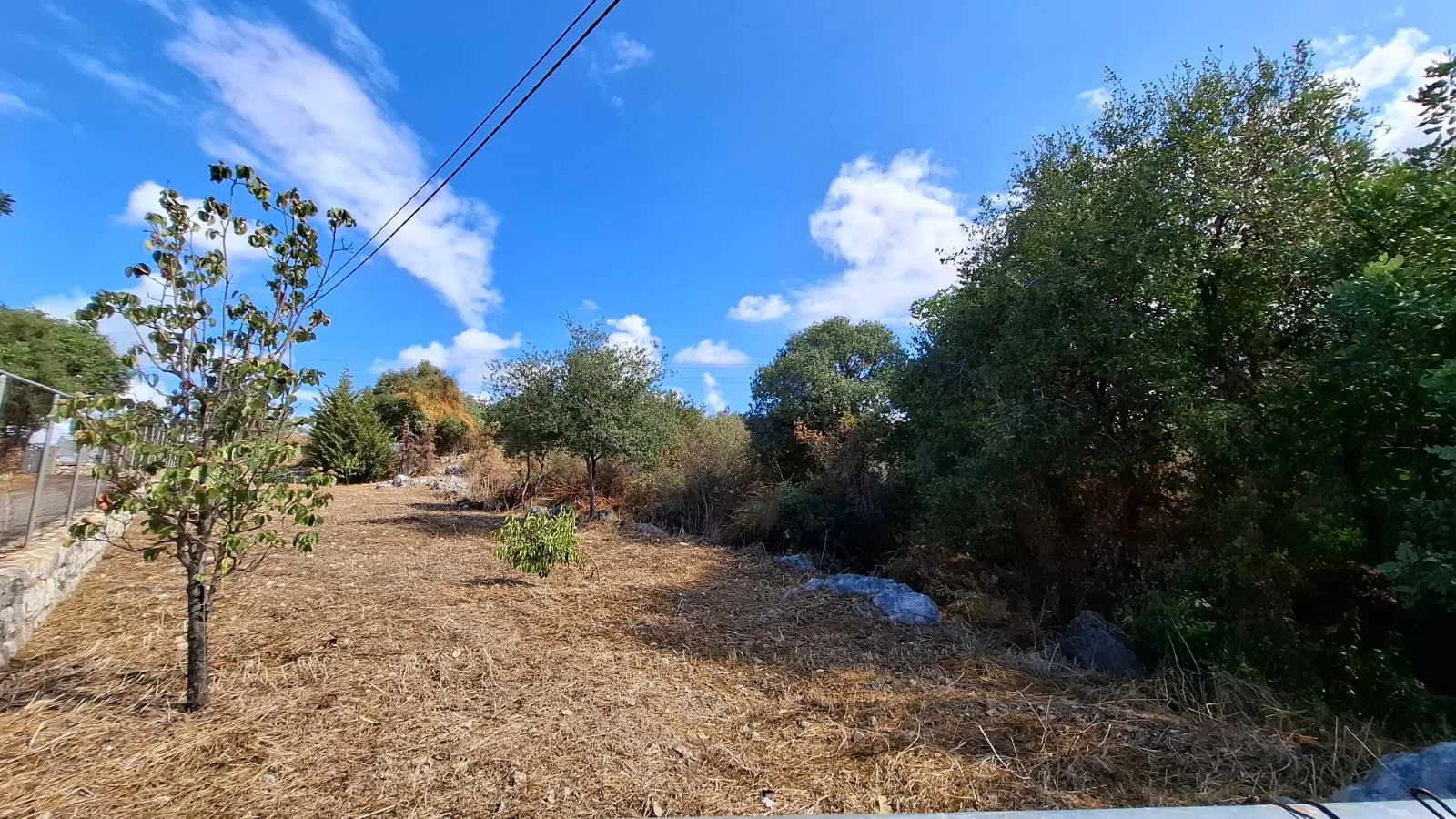 Land for Sale in Edde, Lebanon — الصورة 3