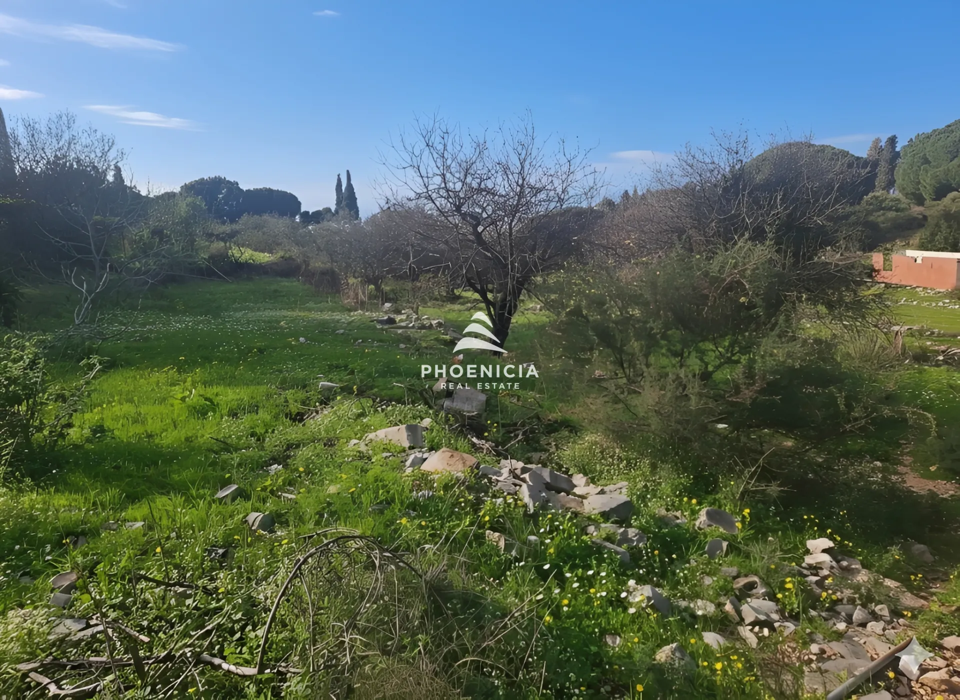 Land for Sale in Batroun — الصورة 3