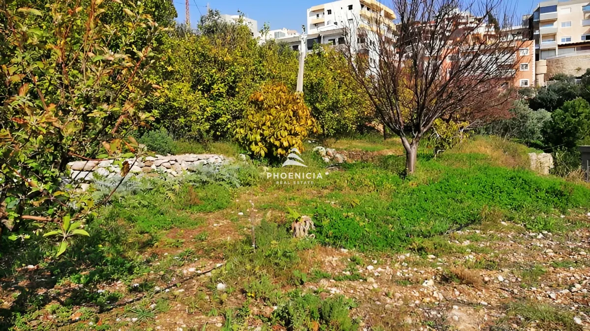 Land for Sale in Blat — الصورة 5