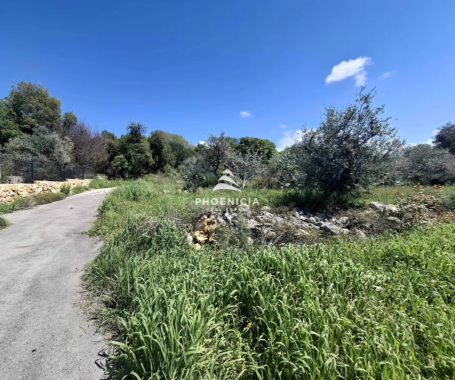 Land for Sale in Monsef — الصورة 6