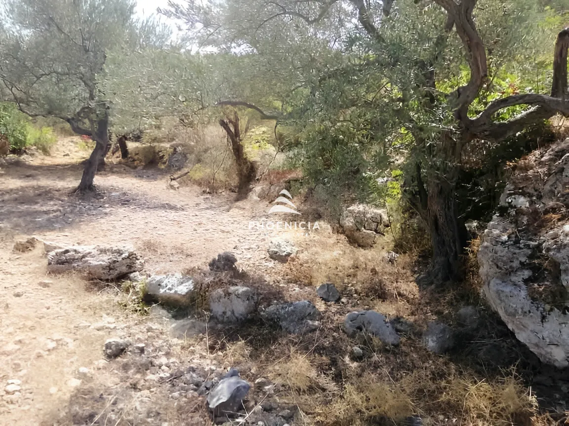 Land for Sale in Monsef — الصورة 10