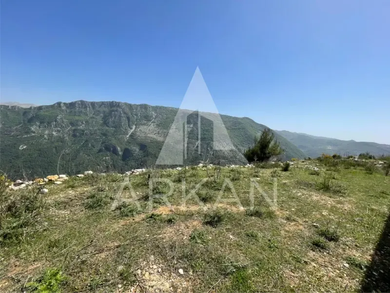 Land for Sale in Ein Jrein – Kartaba Road — photo 3