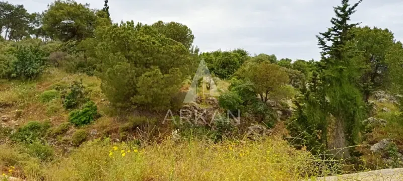Land for Sale in Batroun | 9,700 sqm