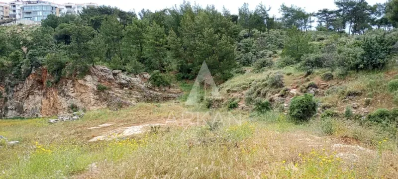 Land for Sale in Batroun | 9,700 sqm — photo 2