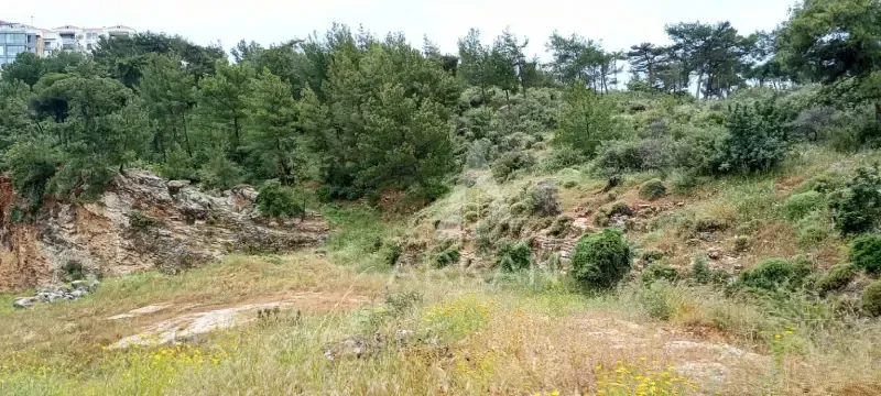 Land for Sale in Batroun | 9,700 sqm — photo 3