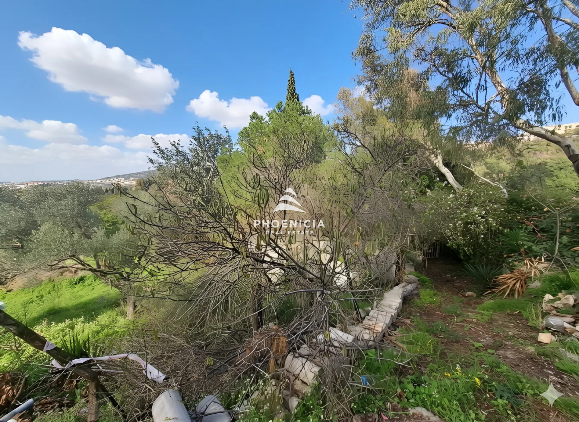 Land for Sale in Batroun — الصورة 6